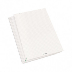 FlipChart Paper bright...